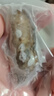 山姆 冷凍即食海參 500g 500g 曬單實拍圖