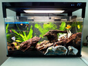 智宙魚(yú)缸增氧氣泡條水族增氧氣泵魚(yú)缸氣泡石氧氣簾條魚(yú)缸打氧泵低音 20cm砂條和氣泵套餐 曬單實(shí)拍圖