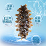 曉芹 大連即食海參 3斤 21-27只 遼刺參 海鮮水產(chǎn) 禮盒裝 曬單實(shí)拍圖