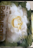 babycare山茶花嬰兒紙尿褲mini裝NB碼34片(<5kg)花苞輕柔寶寶尿不濕透氣 曬單實拍圖