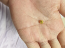 中國黃金黃金小金豆999足金純金收藏投資生日七夕情人節禮物送女朋友老婆 黃金*小金豆【贈許愿瓶+證書(shū)】 金重約：1g 曬單實(shí)拍圖