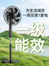 鉆石牌落地扇【1級能效+直流變頻+純銅電機】家用電風(fēng)扇機輕音搖頭扇強勁風(fēng)力智能語音遙控DFS-ZFR07 曬單實拍圖