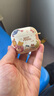 優(yōu)思頓airpods4保護套airpords四代硅膠蘋果耳機保護套殼pro二代藍牙耳機外殼ipods無線三代耳機倉airpod 【Q版頭像+卡通掛鏈】磨砂軟殼-耐臟不掉蓋 蘋果 AirPods4代 曬單實拍圖