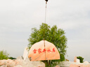 晚霞紅自然景觀石大型大彩霞石庭院園林門牌村牌石戶外刻字石景石 多種規(guī)格聯(lián)系客服選石 曬單實拍圖