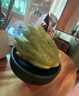佛手柑云南香櫞果超大10斤單果佛手果香鮮果佛手瓜新鮮食用果 300g(小果1個) 曬單實拍圖