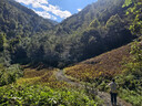 原始人 充氣床墊戶(hù)外露營(yíng)氣墊床野營(yíng)自動(dòng)充氣床睡墊打地鋪墊子 【淺卡其】5cm自動(dòng)充氣墊-雙人 曬單實(shí)拍圖
