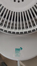 夏普（SHARP)小風(fēng)鈴空氣循環(huán)扇電風(fēng)扇家用小型桌面臺式宿舍臥室辦公室靜輕音抑菌扇葉搖頭臺扇PJ-CA230B-A 曬單實拍圖