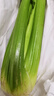 京鮮生山東新鮮大西芹凈重4.5斤榨汁現(xiàn)挖芹菜鮮嫩蔬菜 去半葉源頭直發(fā) 曬單實(shí)拍圖