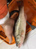 日本進(jìn)口防纏繞釣魚(yú)火線(xiàn)跨境魚(yú)線(xiàn)路亞臺釣超強拉力 50米黑色火線(xiàn) 0.3 曬單實(shí)拍圖
