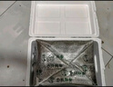 小兵海參即食海參鮮食海參官方店遼參大連海參鮮活野生海滲獨立包裝袋一斤 3斤（送參鮑汁） 10-12只/斤 曬單實拍圖