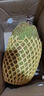 西雙版納新鮮榴蓮蜜小個(gè)尖蜜拉尖不拉多肉巴掌迷你濕包熱帶水果包 1-2斤 曬單實(shí)拍圖