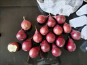 喜季新鮮紅啤梨香甜軟糯應(yīng)季水果紅寶石正宗啤酒軟梨子現(xiàn)摘現(xiàn)發(fā)多汁 凈重3斤【超值大果】 曬單實(shí)拍圖