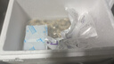 鮮享純新鮮速凍大號(hào)蟶子肉新鮮捕撈鮮剝無沙去殼純?nèi)庀|子肉冷凍竹節(jié)蟶 1250g 冷凍蟶子肉每包1.25斤共2.5斤 曬單實(shí)拍圖