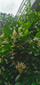 學(xué)而思 中考總復(fù)習 舉一反三 數(shù)學(xué) 核心母題舉一反三 曬單實拍圖