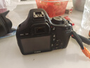 佳能/Canon 550D 600D 700D 750D 800D 650D二手單反相機入門(mén)級半畫(huà)幅高清學(xué)生高清旅游攝影 佳能550D+永諾501.8 套機(95新) 曬單實(shí)拍圖