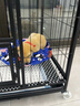 貝初眾狗籠大型犬帶廁所一體狗籠子中型狗窩大型籠邊牧狗籠寵物圍欄籠子 110*72*95cm【適用100斤內狗狗】 【加粗方管】材質(zhì)新升級 曬單實(shí)拍圖