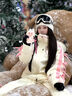 酷峰【雪蝶】滑雪服套裝2025新款雪衣雪褲女男外套冬單板雙板防水裝備 云蝶白上衣 S 曬單實(shí)拍圖