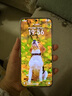 榮耀X70 8+256 月影白 金標十面抗摔 8300mAh青海湖電池 IP69防水 榮耀綠洲護眼屏 AI手機 國家補貼 曬單實拍圖