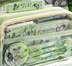 三年二班大容量透明筆袋女孩生日禮物2025新款ins小學生初中生男孩款痛包文具袋簡約 藍果椰椰【單件包郵】 曬單實拍圖