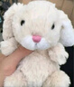Jellycat米色甜美小兔小短腿公仔動(dòng)物毛絨玩偶小生日娃娃生日禮物520 甜美小兔 One Size 曬單實(shí)拍圖