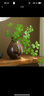 范爺家仿真綠植手感觀音蓮葉禪意仿真花室內(nèi)客廳家居玄關(guān)裝飾品擺件假花 曬單實拍圖