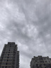 伍爾特汽車玻璃水去油膜0度強力濃縮乙醇雨刮水特斯拉奧迪奔馳通用2瓶 曬單實拍圖