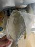 翔泰 海南大規(guī)格金鯧魚(yú)550g1條 海魚(yú) 生鮮魚(yú)類 火鍋 海鮮水產(chǎn) 曬單實(shí)拍圖