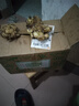 農(nóng)多鮮 云南小黃姜 新鮮蔬菜現(xiàn)挖現(xiàn)發(fā)調(diào)味料火鍋食材 產(chǎn)地直供 凈重小黃姜5斤 云南小黃姜 曬單實拍圖