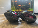 SHIMANO禧瑪諾25款阿德DC水滴輪ALDEBARAN DC遠(yuǎn)投路亞輪偏微物泛用型技巧 右手－30HG 7.8速比 曬單實(shí)拍圖
