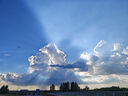 博世（BOSCH）標(biāo)準(zhǔn)型火花塞9797四支標(biāo)致207/308/408/508雪鐵龍C4L世嘉C5愛(ài)麗舍 曬單實(shí)拍圖