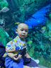 巴厘小豬兒童短袖套裝夏季寶寶中國風分體衣服嬰兒周歲童裝新中式男童夏裝 嘻哈龍 80 曬單實拍圖