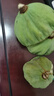 玉澤（Dr.Yu） 皮膚屏障修護(hù)保濕霜50g（乳液面霜修護(hù)霜乳補(bǔ)水保濕 敏感肌） 曬單實(shí)拍圖
