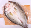 仙泉湖三去白蕉海鱸魚1斤/條凈膛冷凍刺少肉厚珠海特產(chǎn)500g生鮮食材 曬單實(shí)拍圖