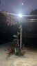 雷士（NVC）太陽(yáng)能戶外照明燈路燈投光燈室外庭院燈高亮遙控5150lm+照約280㎡ 曬單實(shí)拍圖