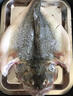 味爾佳 三去清蒸鱸魚(yú)1斤（含調(diào)料包）海鱸魚(yú)生鮮魚(yú)類(lèi) 海鮮水產(chǎn) 曬單實(shí)拍圖