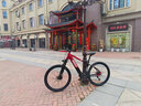AISIUV高端電助力山地車自行單車ebike變速減震越野中置電機(jī)鋁合金戶外 中國紅/川克M12電機(jī)-120NM-400W 曬單實(shí)拍圖