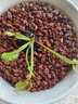 豬籠草盆栽植物花卉室內(nèi)驅(qū)蚊草綠植陽(yáng)臺(tái)捕蟲(chóng)草食蟲(chóng)草吊蘭好養(yǎng)活 約5-9cm食蟲(chóng)草（大苗）看好尺寸 曬單實(shí)拍圖