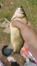 巧漁夫（Skiofishes）龍戰極超輕三代小綜合竿魚(yú)桿超輕超硬魚(yú)竿手竿臺釣竿釣魚(yú)竿鯽魚(yú)竿 5.4m 休閑鯽鯉 至輕手感 曬單實(shí)拍圖