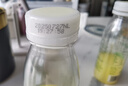 李小艾小青檸汁飲料300ml*6瓶檸檬汁水果蔬汁NFC果汁0脂夏日飲料小瓶 曬單實(shí)拍圖