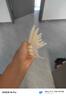 韓束丁禹兮同款亮白棒美白淡斑次拋精華液煙酰胺護(hù)膚品生日禮物送女友 曬單實拍圖