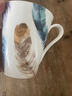 愛(ài)屋格林馬克杯陶瓷杯咖啡杯辦公室創(chuàng  )意水杯大容量茶杯七夕禮物女生 雀羽A款 曬單實(shí)拍圖