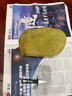 彪禮海南菠蘿蜜整個(gè)次日達(dá)飽滿脆甜非榴蓮蜜三亞黃肉樹(shù)菠蘿波羅蜜現(xiàn)摘 菠蘿蜜（18-22斤）韻達(dá) 5天內(nèi)發(fā)出 曬單實(shí)拍圖