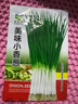 【春菜】耐熱耐寒四季小香蔥種子易種盆栽蔬果種籽 四季小香蔥【易種】沾土發(fā)芽 【四季可種】原裝精選1包約800粒 曬單實拍圖