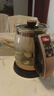 容聲（RONGSHENG）養生壺黑茶煮茶器電熱水壺燒水壺加厚玻璃智能斷電保溫1.2L家用養身壺煮花茶養生杯煎藥壺 金色 1.2L 曬單實(shí)拍圖