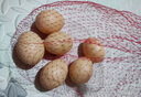 仿真雞蛋模型假雞蛋玩具塑料兒童過(guò)家家幼兒園DIY涂鴉繪畫(huà)復活節 仿真假雞蛋20顆裝 曬單實(shí)拍圖