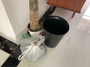 嘆為觀止大型植物發(fā)財(cái)樹(shù)各種大顆盆栽開(kāi)業(yè)喬遷客廳辦公室內(nèi)好養(yǎng)大型花卉 單桿發(fā)財(cái)樹(shù)【1.5-1.7米】 含盆 曬單實(shí)拍圖