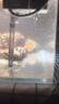 貝初眾魚(yú)缸過(guò)濾器小型壁掛式瀑布過(guò)濾循環(huán)增氧吸糞三合一泵全套一體機(jī) 5w多功能壁掛過(guò)濾器【適用40cm以內(nèi)魚(yú)缸】 過(guò)濾升級(jí)【靜音節(jié)能】 過(guò)濾 增氧 除油膜 三合一【送濾材】 曬單實(shí)拍圖
