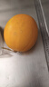 栩季（XUJI）正宗陜西民勤黃河蜜瓜甜瓜大果水果當季金紅寶白心香瓜密瓜 黃河蜜瓜 凈重2.5（1-2個） 曬單實拍圖