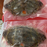 遇上鮮 舟山紅膏嗆蟹 海鮮 生腌梭子蟹醉蟹 凈含量8-10兩/只 源頭直發(fā) 曬單實(shí)拍圖