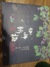 京鮮生 新疆法蘭西西梅 凈重5斤裝 單果16g+ 生鮮水果 生鮮禮盒 曬單實(shí)拍圖